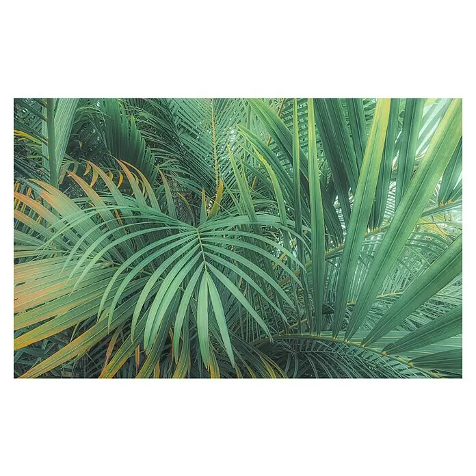 Komar Pure 2 Fototapete Foggy Fern - B x H: 400 x 250 cm, Vlies - Üppige grüne und gelbe Palmblätter bilden ein dichtes tropisches Laubmuster.