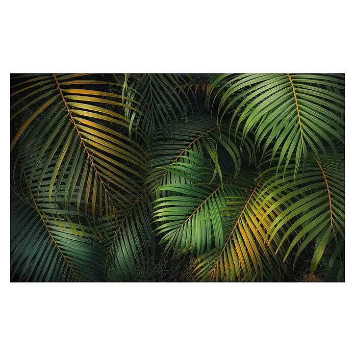 Komar Pure 2 Fototapete Amazon Fern - B x H: 400 x 250 cm, Vlies - Nahaufnahme von lebhaften Palmblättern mit Wedeln in verschiedenen Grün- und Goldgelbtönen.