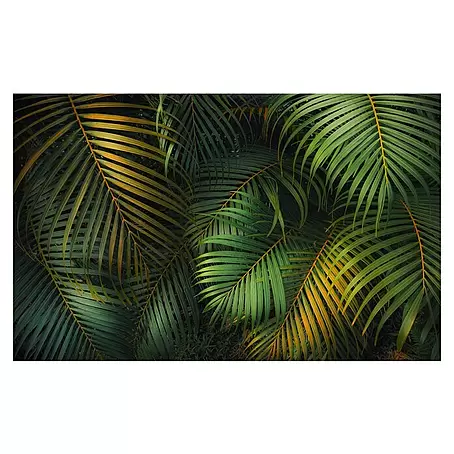 Komar Pure 2 Fototapete Amazon Fern