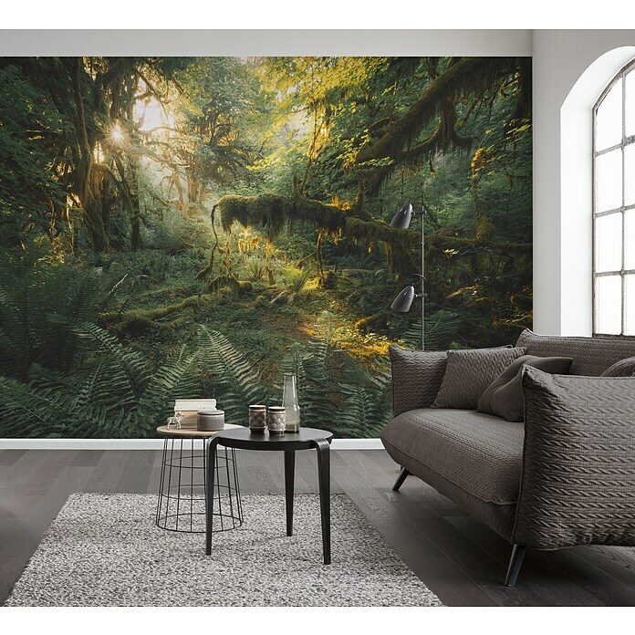 Komar Pure 2 Fototapete Hall of Mosses (B x H: 400 x 250 cm, Vlies) | BAUHAUS