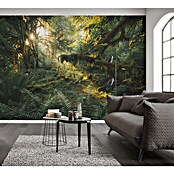 Komar Pure 2 Fototapete Hall of Mosses (B x H: 400 x 250 cm, Vlies) | BAUHAUS