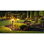 Garza Lámpara decorativa solar Olimpia (L x An x Al: 7,4 x 7,4 x 36 cm, Negro, IP65) | BAUHAUS
