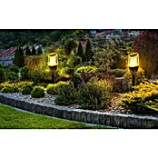 Garza Lámpara decorativa solar Olimpia (L x An x Al: 7,4 x 7,4 x 36 cm, Negro, IP65) | BAUHAUS