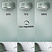 Sulion Ventilador de techo Jade (Verde, 52,5 cm, 18 W) | BAUHAUS