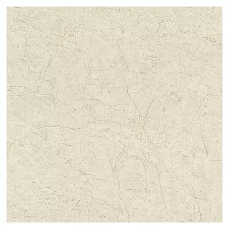 SCHÖNER WOHNEN-Kollektion Cosyliving Vliestapete MARBLE Marmor