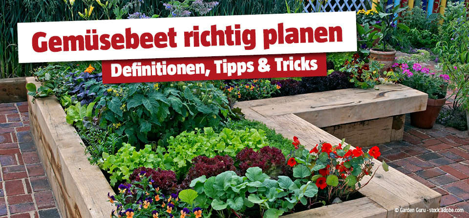 Gemüsebeet planen