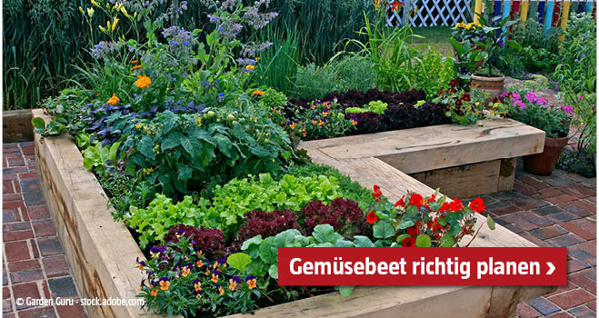 Gemüsebeet planen