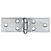 Stabilit Bisagra larga (An x Al: 100 x 32 mm, Espesor: 1,5 mm) | BAUHAUS
