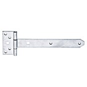 Alberts Bisagra (L x An: 242 x 92 mm, Acero inoxidable) | BAUHAUS