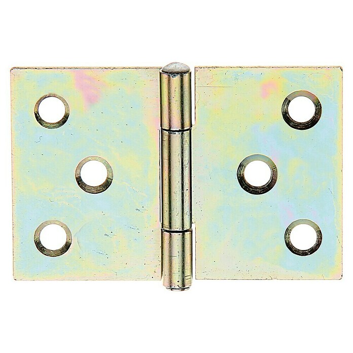 Alberts Bisagra (An x Al: 60 x 40 mm, Zincado) | BAUHAUS