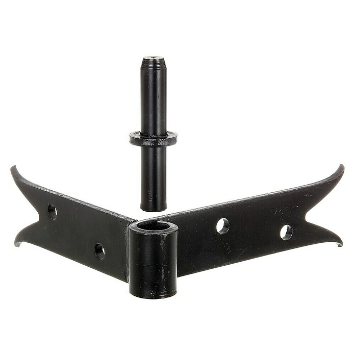 Alberts Gozne de puerta (L x An: 140 x 120 mm, Negro) | BAUHAUS