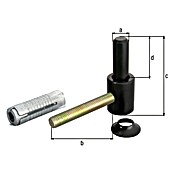 Alberts Gozne roscado (Largo: 65 mm, Diámetro mandril: 35 mm, Otros) | BAUHAUS