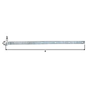 Alberts Bisagra recta (L x An: 800 x 35 mm, Espesor: 5 mm, Plateado, Zincado) | BAUHAUS