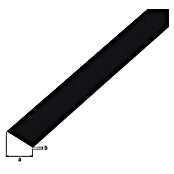 Alberts Barra plana (L x An: 1.000 x 30 mm, Espesor: 2 mm, Negro) | BAUHAUS