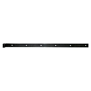 Alberts Bisagra recta (L x An: 800 x 35 mm, Espesor: 5 mm, Negro, Zincado)
