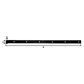 Alberts Bisagra recta (L x An: 800 x 35 mm, Espesor: 5 mm, Negro, Zincado) | BAUHAUS