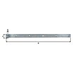 Alberts Bisagra recta (L x An: 600 x 35 mm, Espesor: 5 mm, Plateado, Zincado) | BAUHAUS