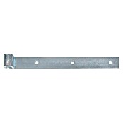 Alberts Bisagra recta (L x An: 300 x 35 mm, Espesor: 5 mm, Plateado, Zincado) | BAUHAUS