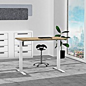 Bastidor de mesa E-More (Ajuste de altura: 700 cm - 1.170 cm, Capacidad de carga: 80 kg, Acero, Aluminio) | BAUHAUS
