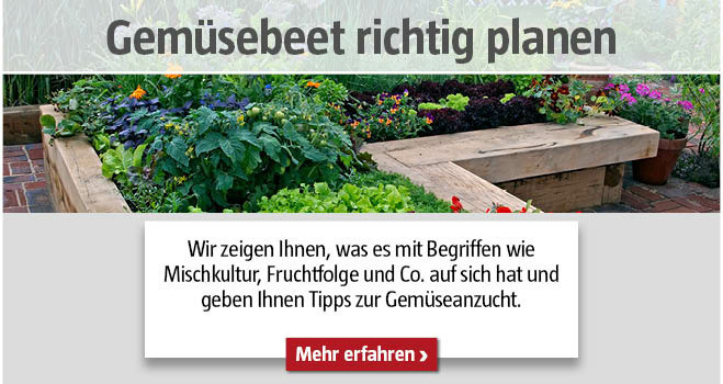 Gemüsebeet planen