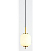 Globo LED-Pendelleuchte Ewald (6 W, Warmweiß, Weiß, Ø x H: 13,5 x 220 cm, 1 Stk.) | BAUHAUS