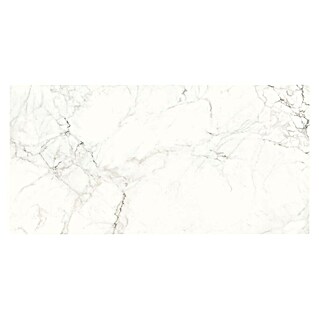Cersanit Zidna pločica Calacatta Mild (59,8 x 119,8 cm, Bijela)