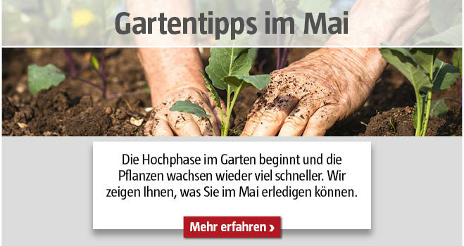 Gartentipps Mai
