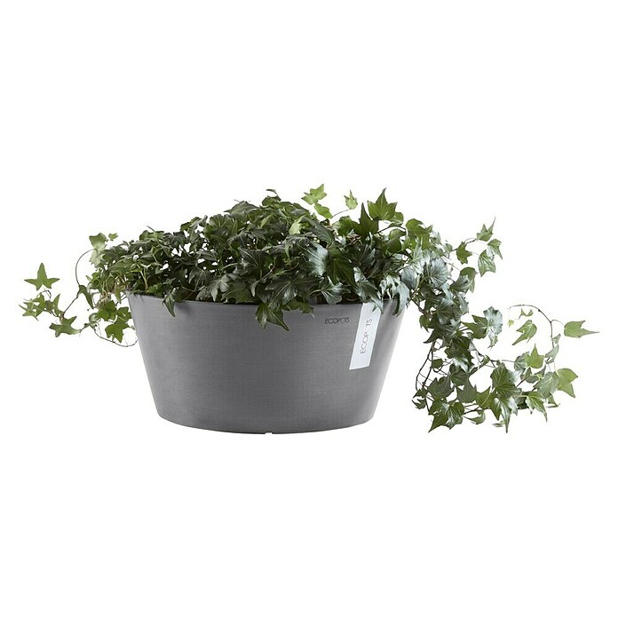 Ecopots Pflanzschale rund Frankfurt (Außenmaß (Ø x H): 50 x 25,7 cm, Kunststoff, Grau) | BAUHAUS