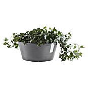 Ecopots Pflanzschale rund Frankfurt (Außenmaß (Ø x H): 50 x 25,7 cm, Kunststoff, Grau) | BAUHAUS