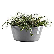 Ecopots Pflanzschale rund Frankfurt (Außenmaß (Ø x H): 50 x 25,7 cm, Kunststoff, Grau) | BAUHAUS
