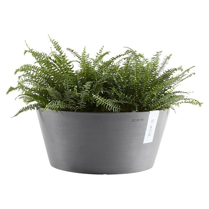 Ecopots Pflanzschale rund Frankfurt (Außenmaß (Ø x H): 50 x 25,7 cm, Kunststoff, Grau) | BAUHAUS