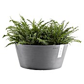 Ecopots Pflanzschale rund Frankfurt (Außenmaß (Ø x H): 50 x 25,7 cm, Kunststoff, Grau) | BAUHAUS