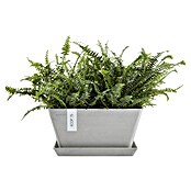 Ecopots Berlin Pflanzschale eckig (Außenmaß (L x B x H): 31 x 31 x 15,5 cm, Kunststoff, Weiß Grau) | BAUHAUS