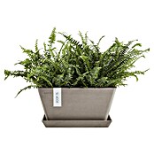 Ecopots Berlin Pflanzschale eckig (Außenmaß (L x B x H): 31,2 x 31,2 x 15,7 cm, Kunststoff, Taupe) | BAUHAUS