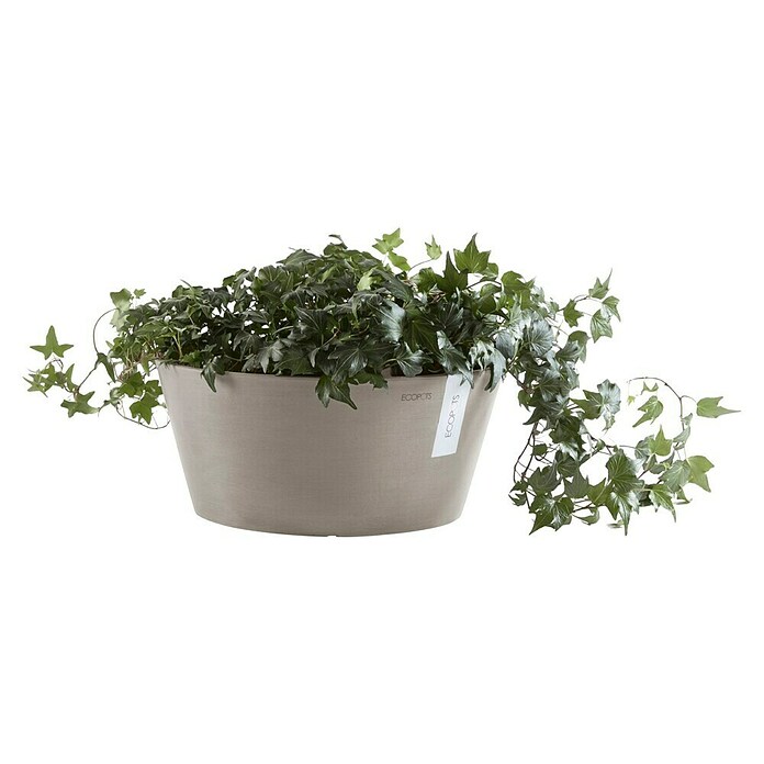 Ecopots Pflanzschale rund Frankfurt (Außenmaß (Ø x H): 30,6 x 15,6 cm, Kunststoff, Taupe) | BAUHAUS