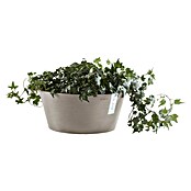 Ecopots Pflanzschale rund Frankfurt (Außenmaß (Ø x H): 41 x 17,8 cm, Kunststoff, Taupe) | BAUHAUS