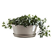 Ecopots Pflanzschale rund Frankfurt (Außenmaß (Ø x H): 41 x 17,8 cm, Kunststoff, Taupe) | BAUHAUS