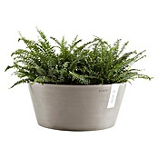 Ecopots Pflanzschale rund Frankfurt (Außenmaß (Ø x H): 30,6 x 15,6 cm, Kunststoff, Taupe) | BAUHAUS