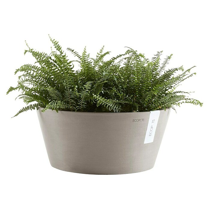 Ecopots Pflanzschale rund Frankfurt (Außenmaß (Ø x H): 41 x 17,8 cm, Kunststoff, Taupe) | BAUHAUS