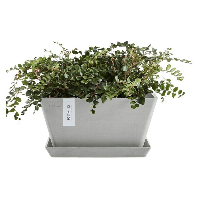 Ecopots Berlin Pflanzschale eckig (Außenmaß (L x B x H): 31,2 x 31,2 x 15,7 cm, Kunststoff, Weiß Grau) | BAUHAUS