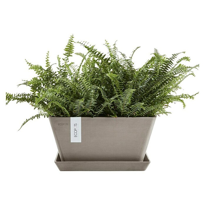 Ecopots Berlin Pflanzschale eckig (Außenmaß (L x B x H): 41 x 41 x 18 cm, Kunststoff, Taupe) | BAUHAUS