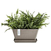 Ecopots Berlin Pflanzschale eckig (Außenmaß (L x B x H): 41 x 41 x 18 cm, Kunststoff, Taupe) | BAUHAUS
