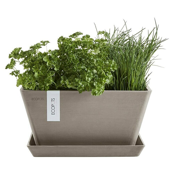 Ecopots Berlin Pflanzschale eckig (Außenmaß (L x B x H): 41 x 41 x 18 cm, Kunststoff, Taupe) | BAUHAUS