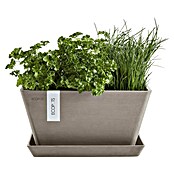Ecopots Berlin Pflanzschale eckig (Außenmaß (L x B x H): 41 x 41 x 18 cm, Kunststoff, Taupe) | BAUHAUS