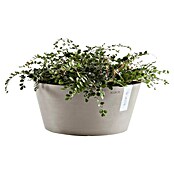 Ecopots Pflanzschale rund Frankfurt (Außenmaß (Ø x H): 41 x 17,8 cm, Kunststoff, Taupe) | BAUHAUS