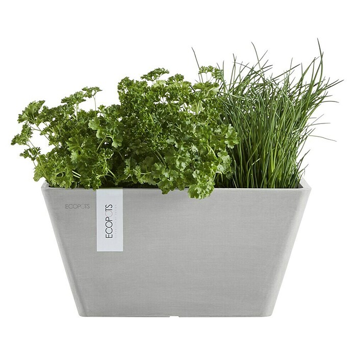 Ecopots Berlin Pflanzschale eckig (Außenmaß (L x B x H): 31,2 x 31,2 x 15,7 cm, Kunststoff, Weiß Grau) | BAUHAUS