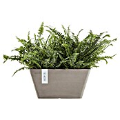 Ecopots Berlin Pflanzschale eckig (Außenmaß (L x B x H): 41 x 41 x 18 cm, Kunststoff, Taupe) | BAUHAUS