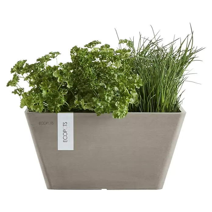 Ecopots Berlin Pflanzschale eckig - Außenmaß (L x B x H): 31,2 x 31,2 x 15,7 cm, Kunststoff, Braungrau - Grauer, rechteckiger ECOPOTS Pflanzkübel mit grüner Petersilie und Schnittlauch.