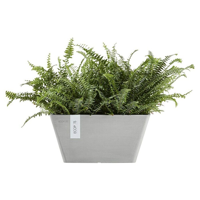 Ecopots Berlin Pflanzschale eckig (Außenmaß (L x B x H): 31,2 x 31,2 x 15,7 cm, Kunststoff, Weiß Grau) | BAUHAUS