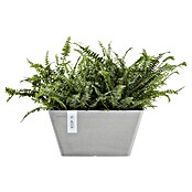 Ecopots Berlin Pflanzschale eckig (Außenmaß (L x B x H): 31,2 x 31,2 x 15,7 cm, Kunststoff, Weiß Grau) | BAUHAUS